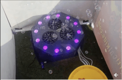 Bubble Machine
